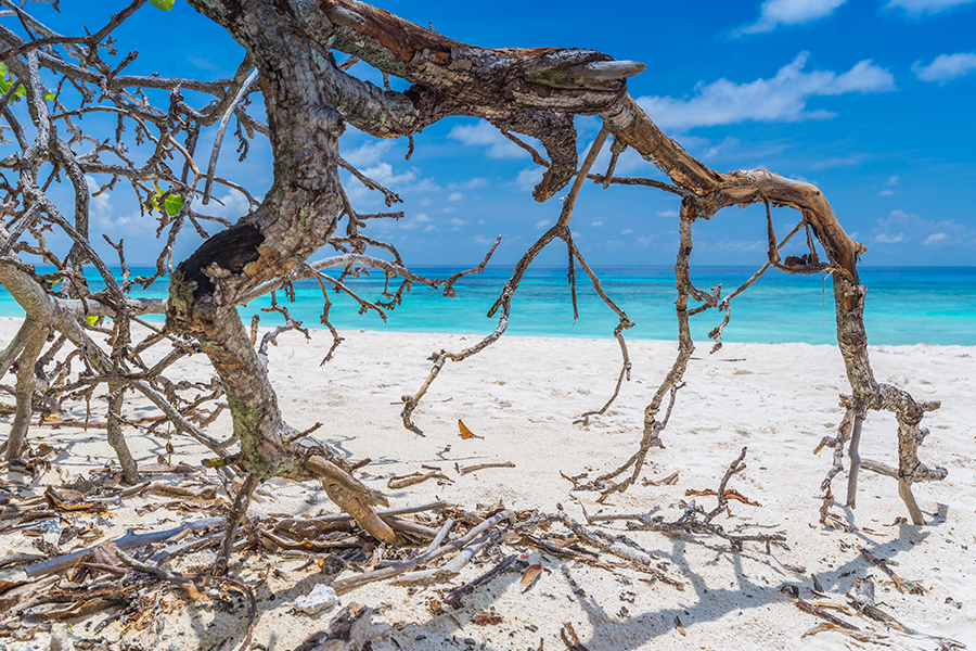 Andaman Tour Package 4 Nights 5 Days | Port Blair & Havelock